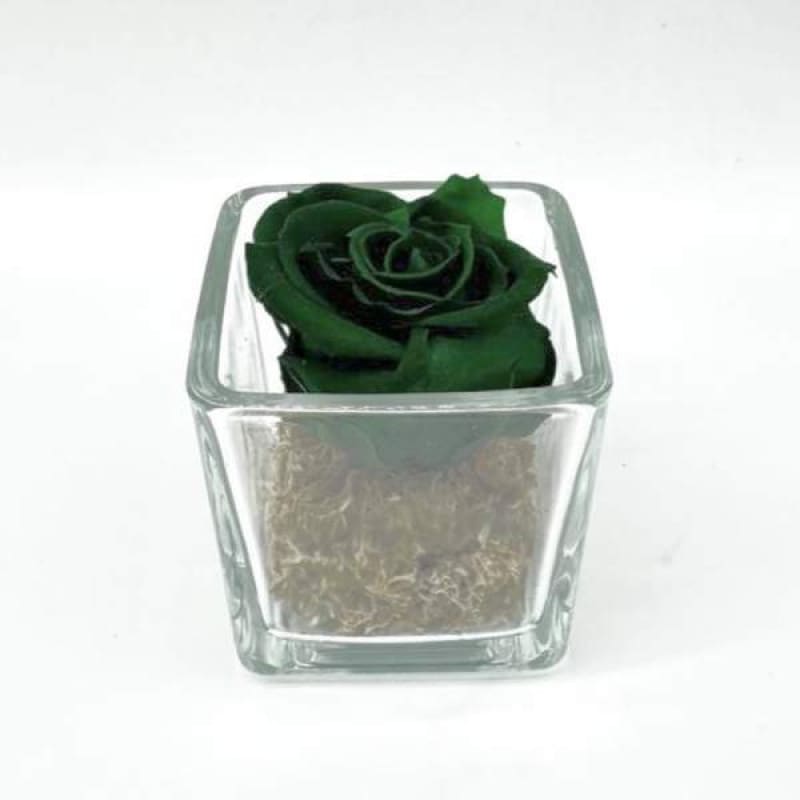 Mini Emerald C